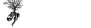 The Monarchy Organization